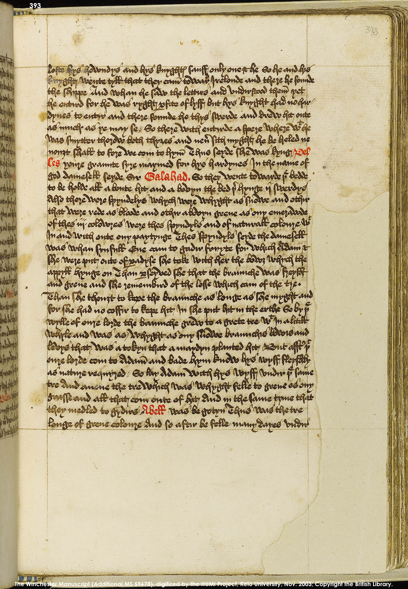 Folio 393r