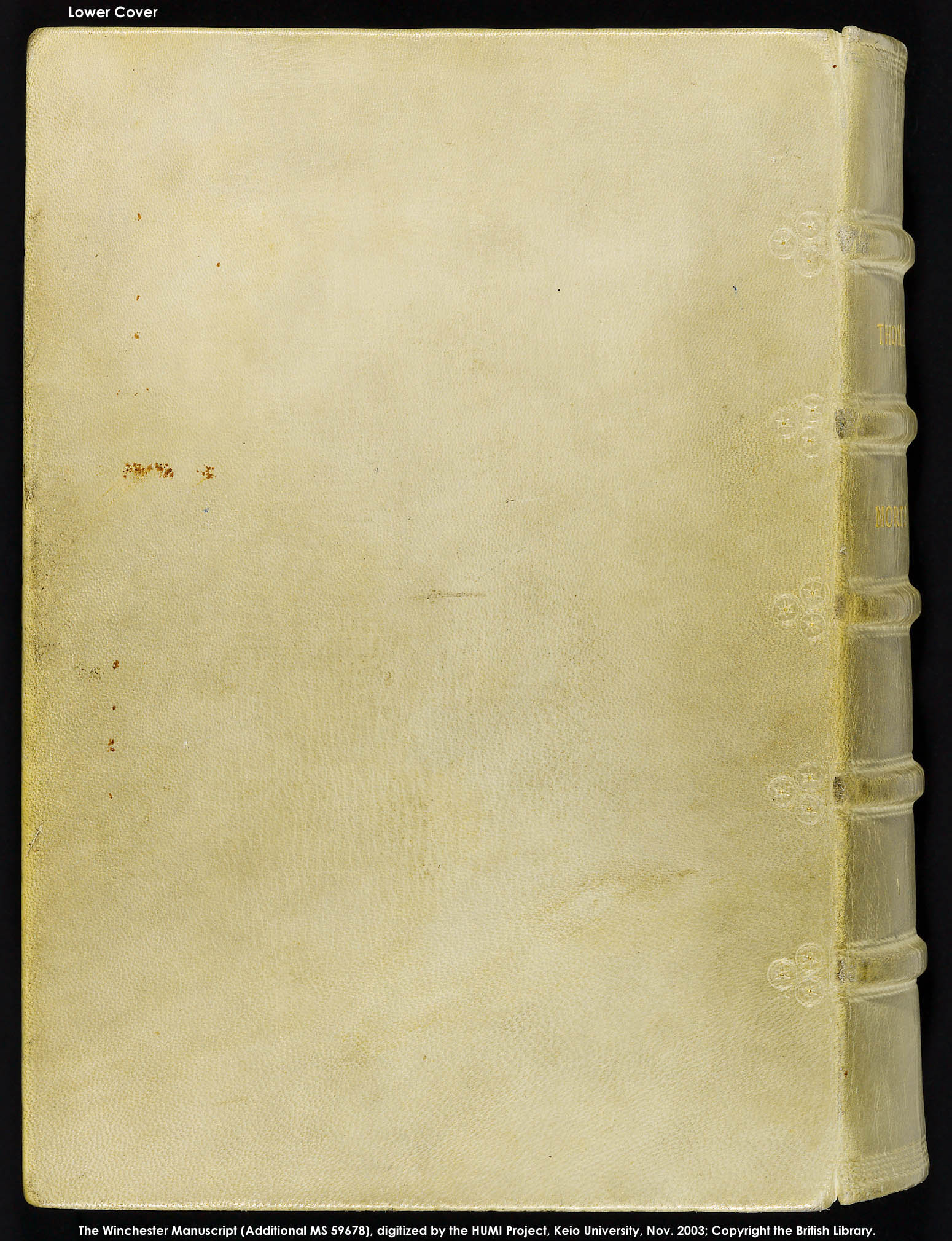 Lower Cover